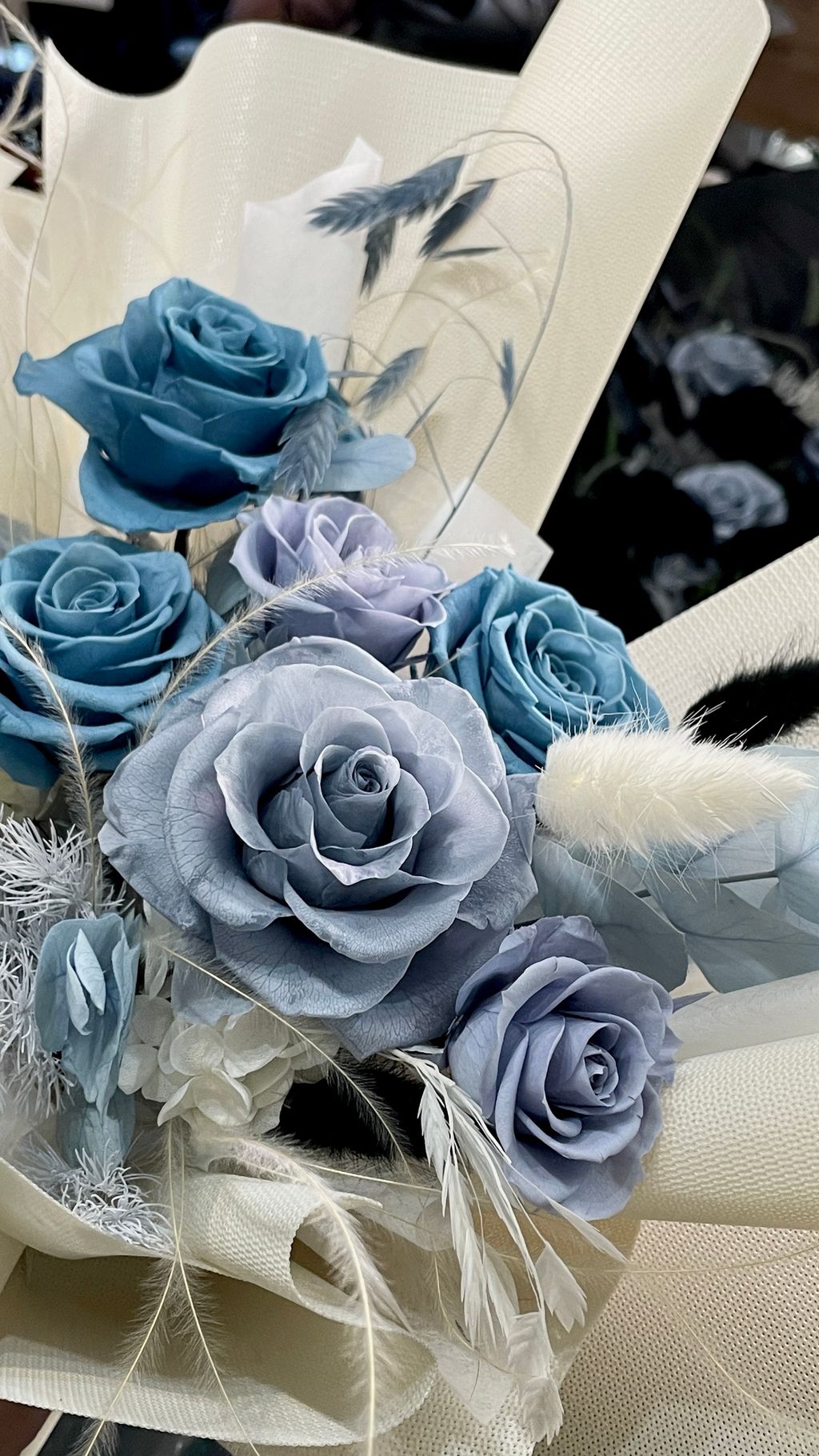 IMG_4783-1722249755778