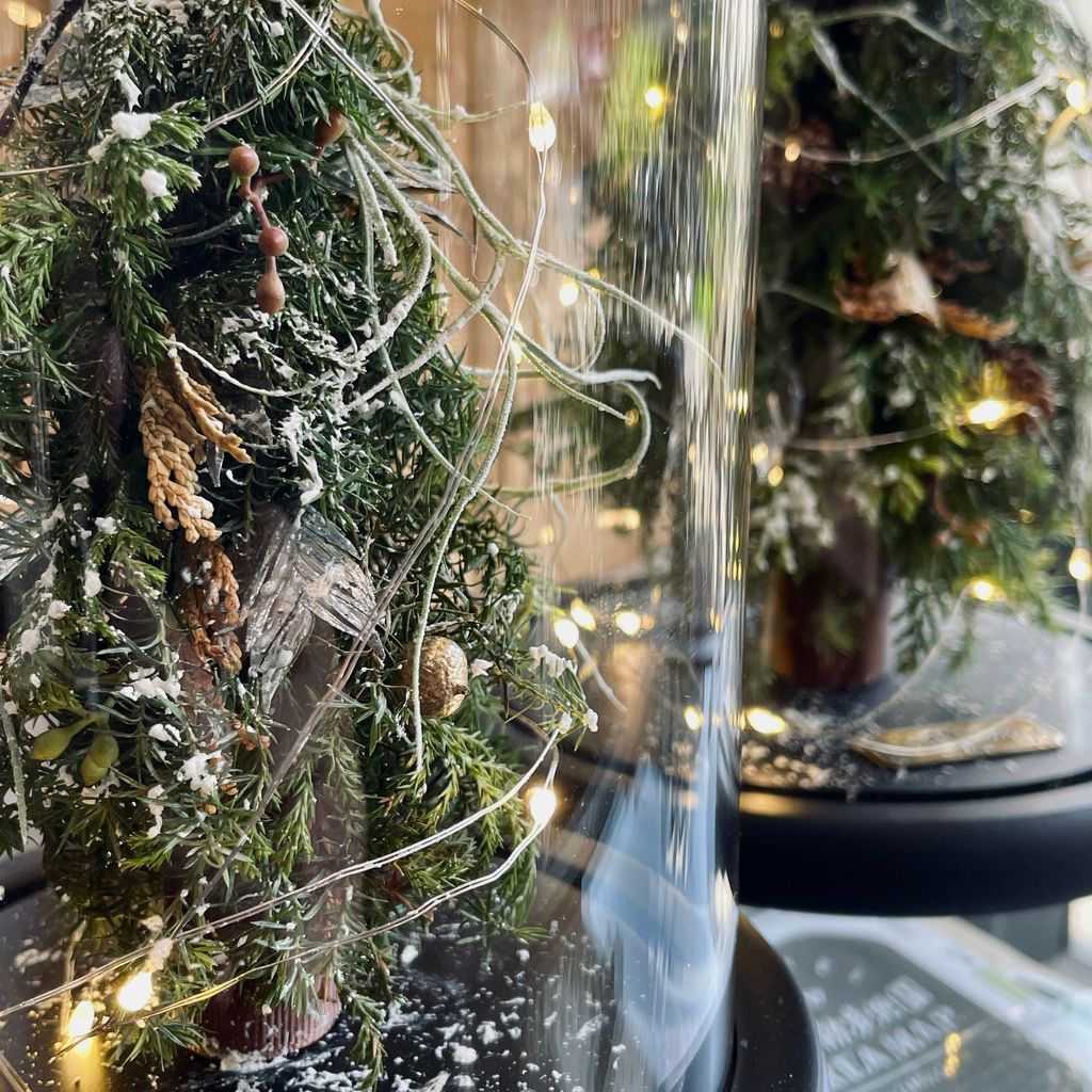 IMG_7675-1732850680550