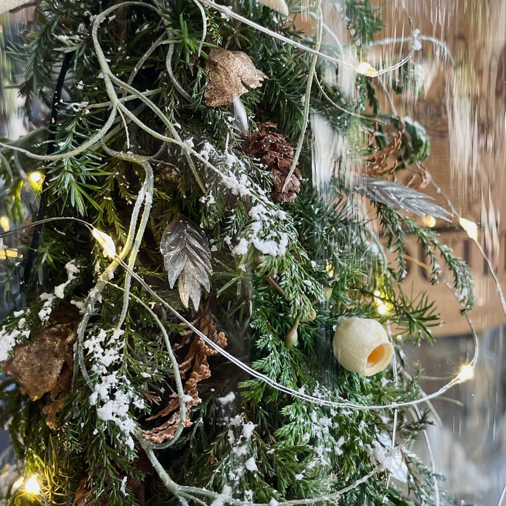 IMG_7673-1732850680599