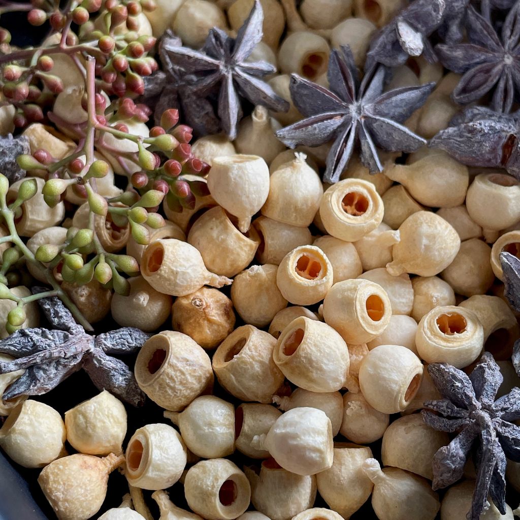 IMG_7672-1732850680574