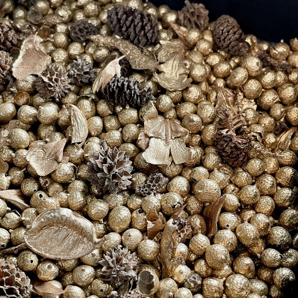 IMG_7671-1732850680648