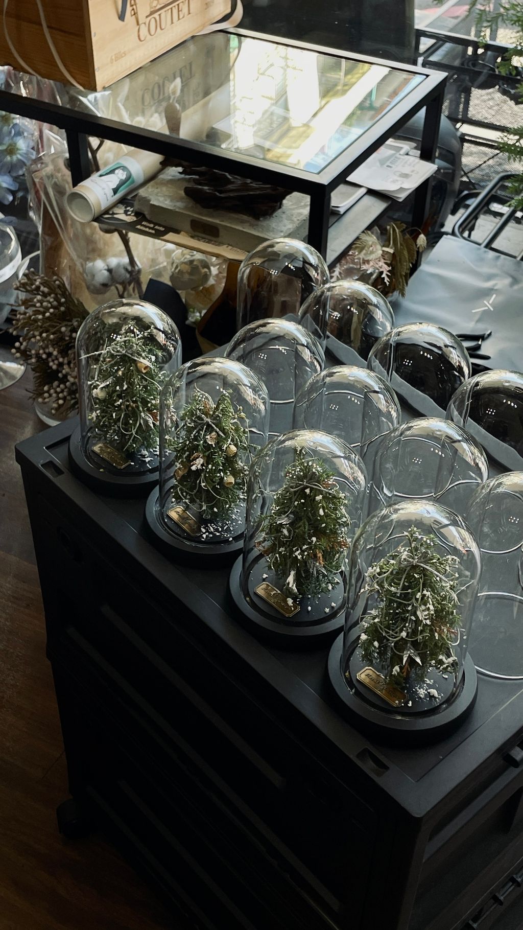 IMG_7676-1732850680668