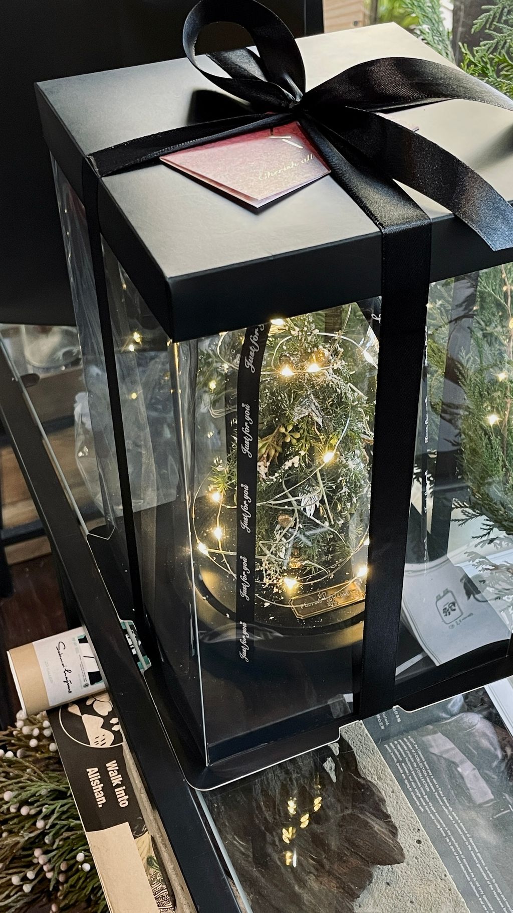 IMG_7685-1732889117489