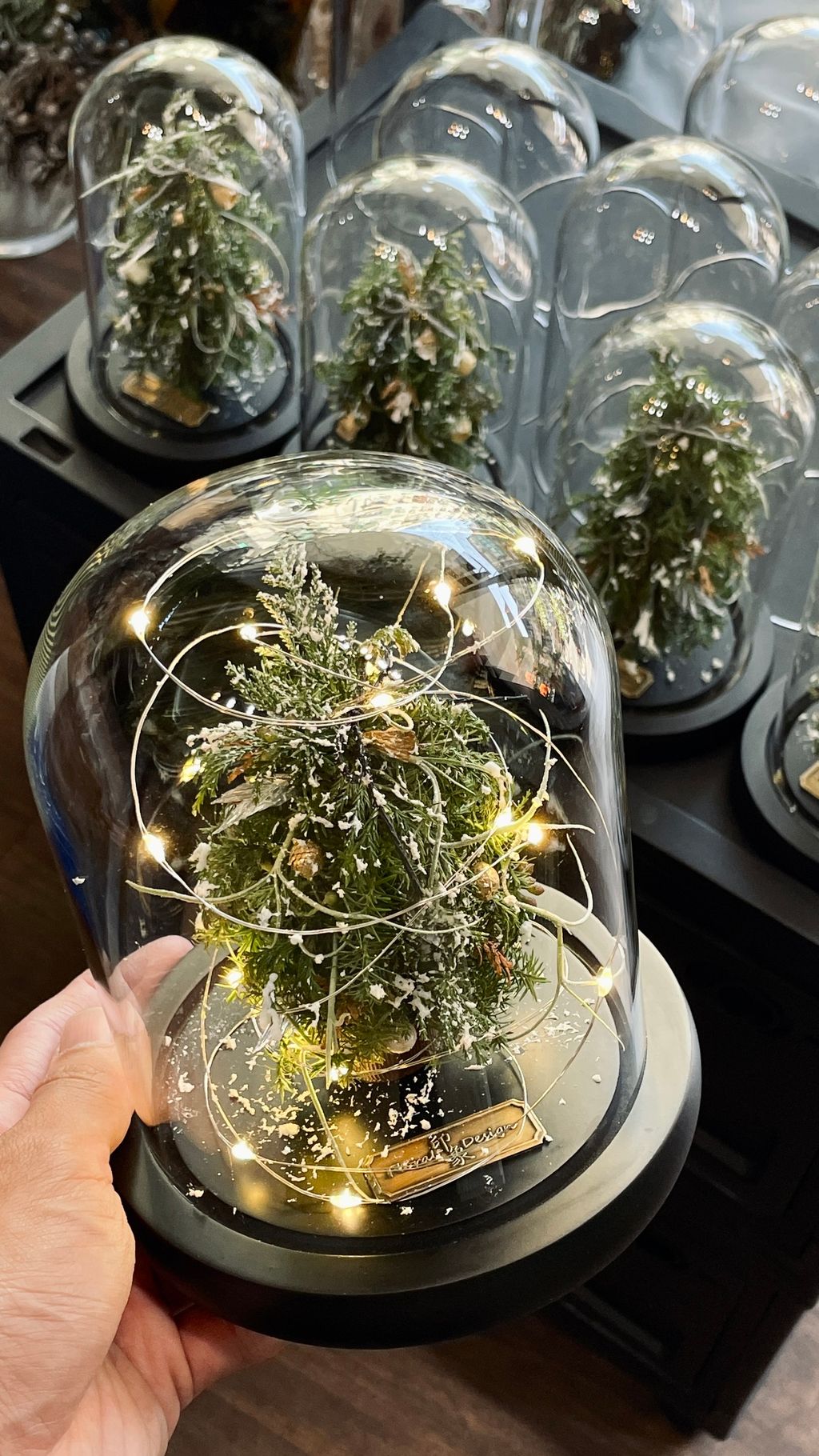 IMG_7728-1733021320350