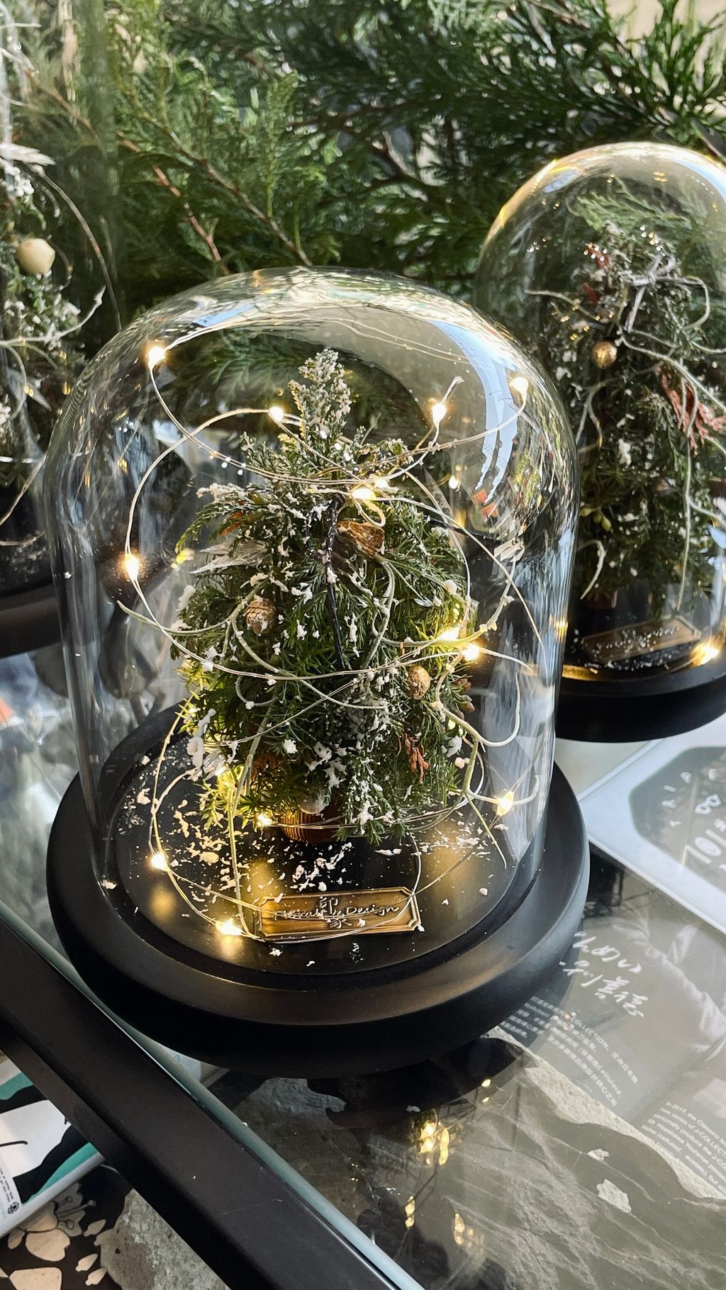 IMG_7725-1733021320353