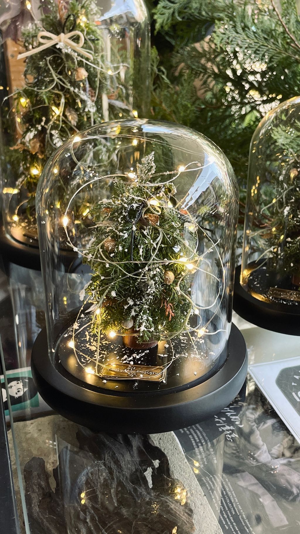 IMG_7724-1733021320363