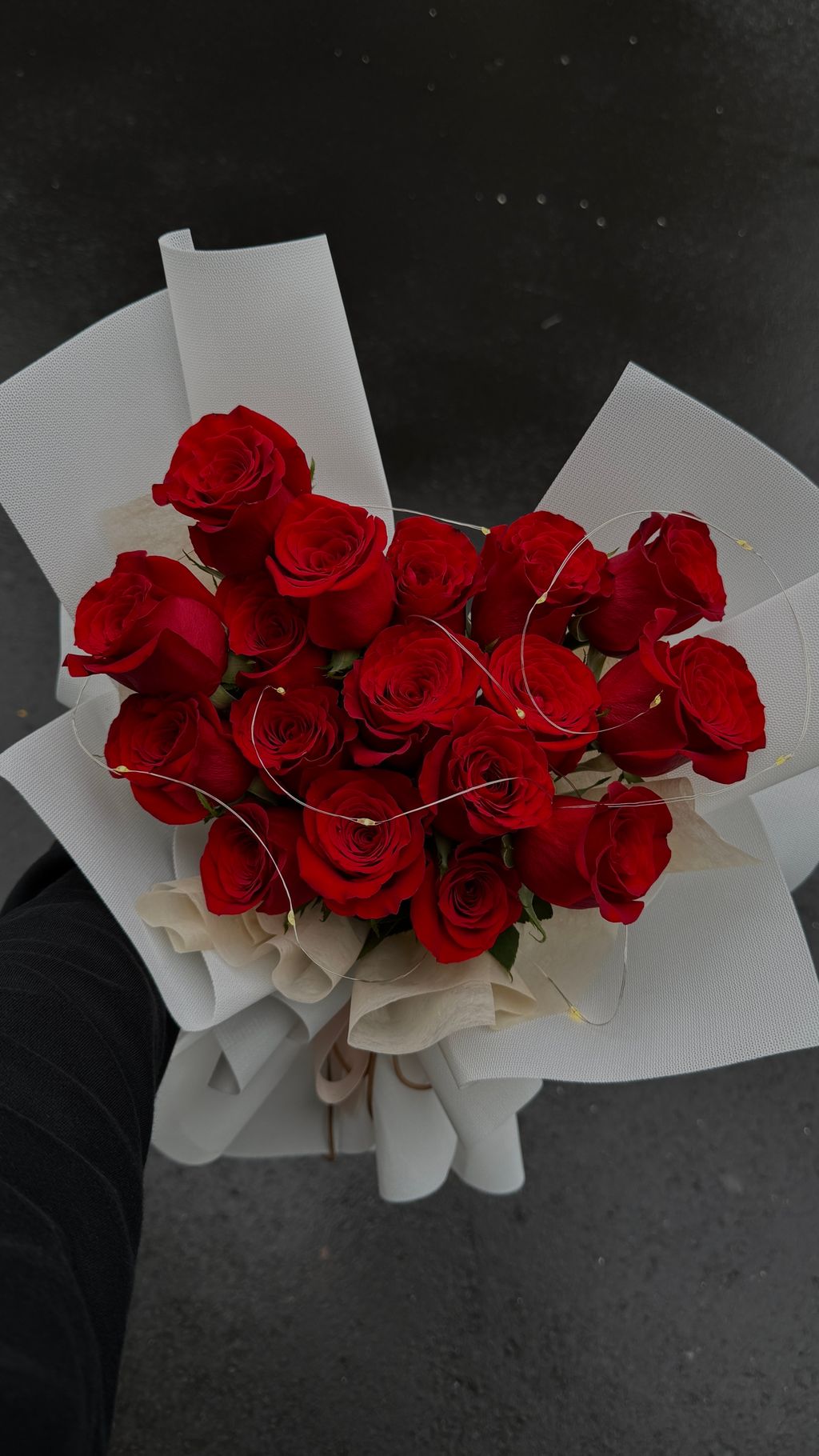 IMG_8214-1734936205803