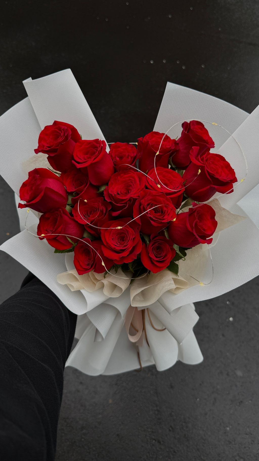 IMG_8213-1734936205802