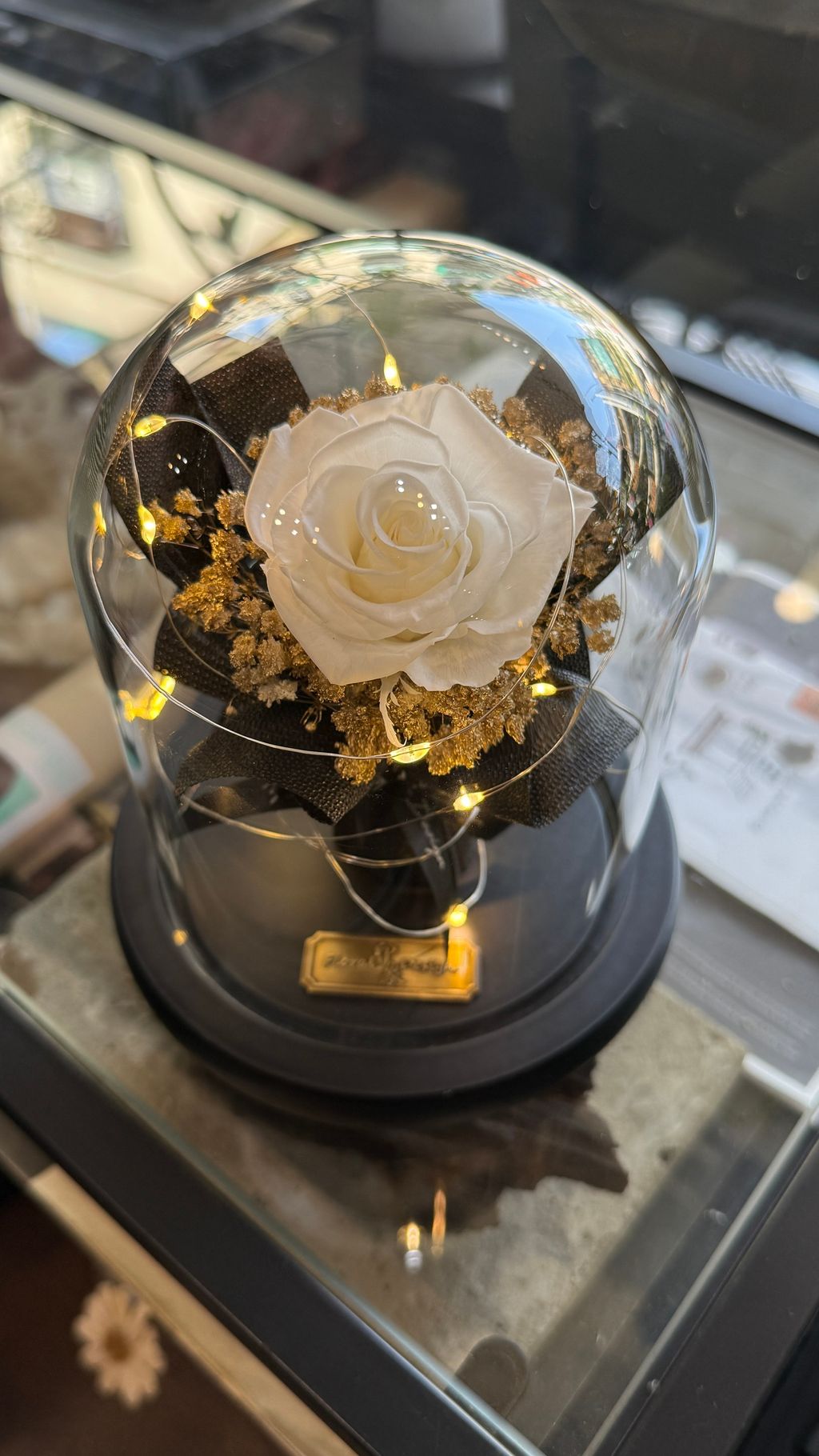 image_CC396DFD-F702-41C1-AAA0-4FFADC4969B0_1755079063