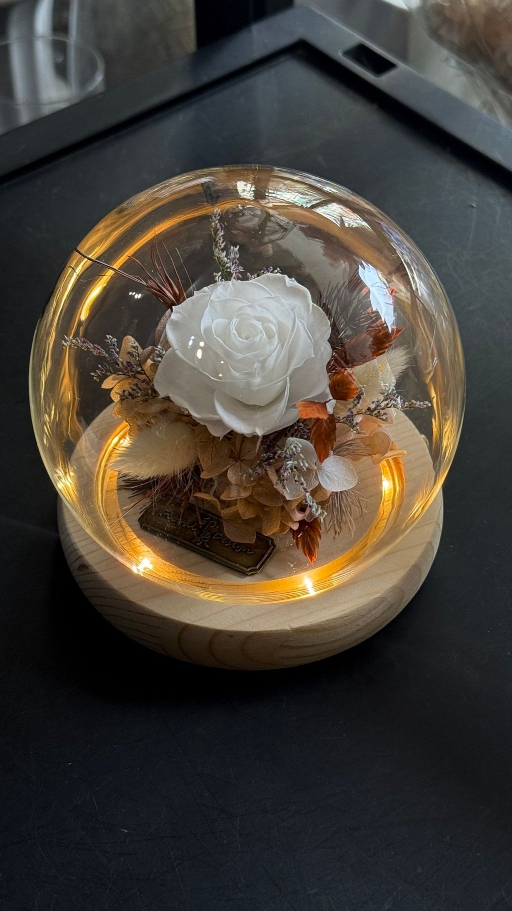 image_0B330DDB-7339-4925-99F2-D8C63F948459_1755087821