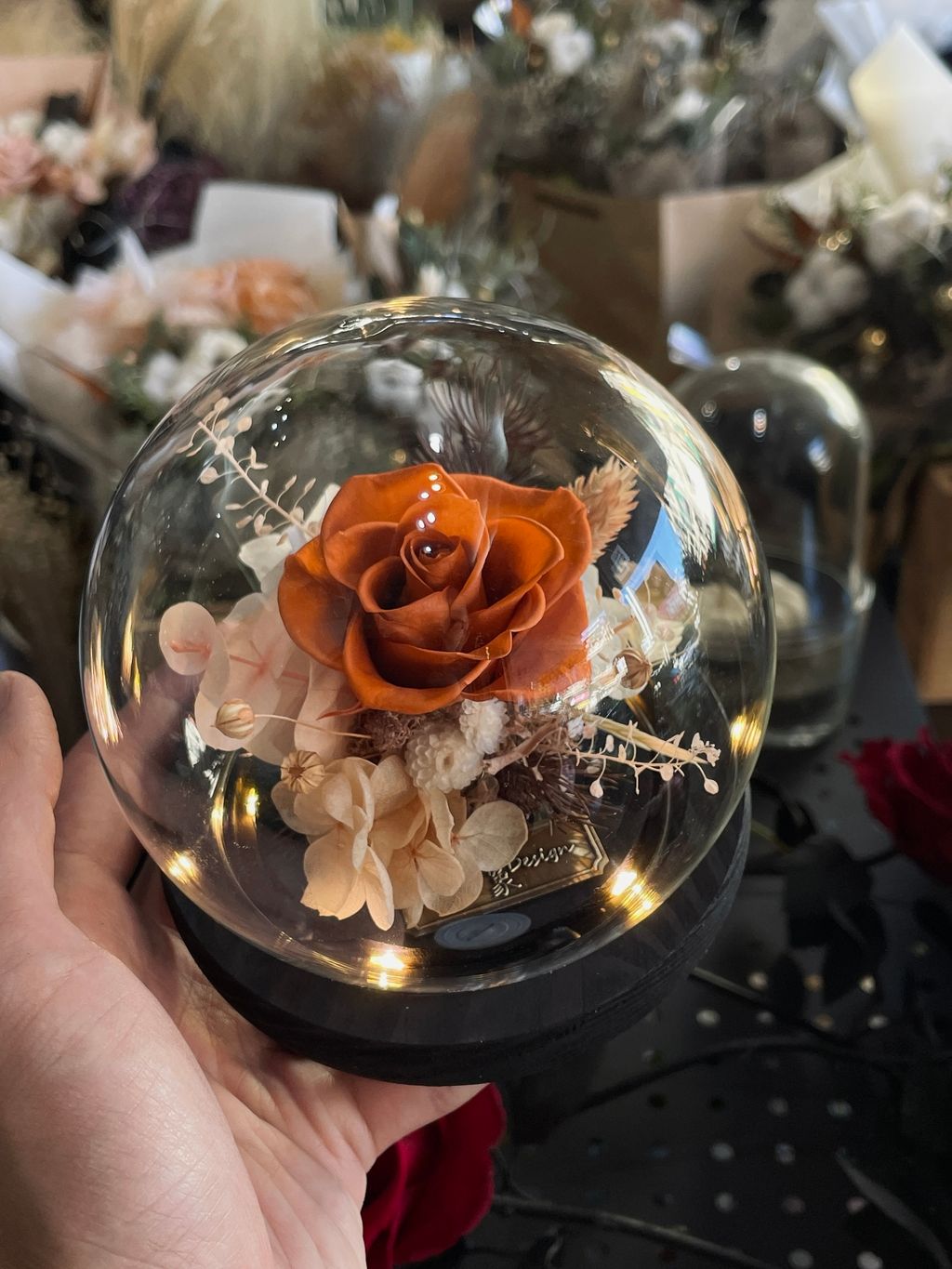 image_E02B7567-8705-40F4-BB52-8DDC475EB1B6_1755087821