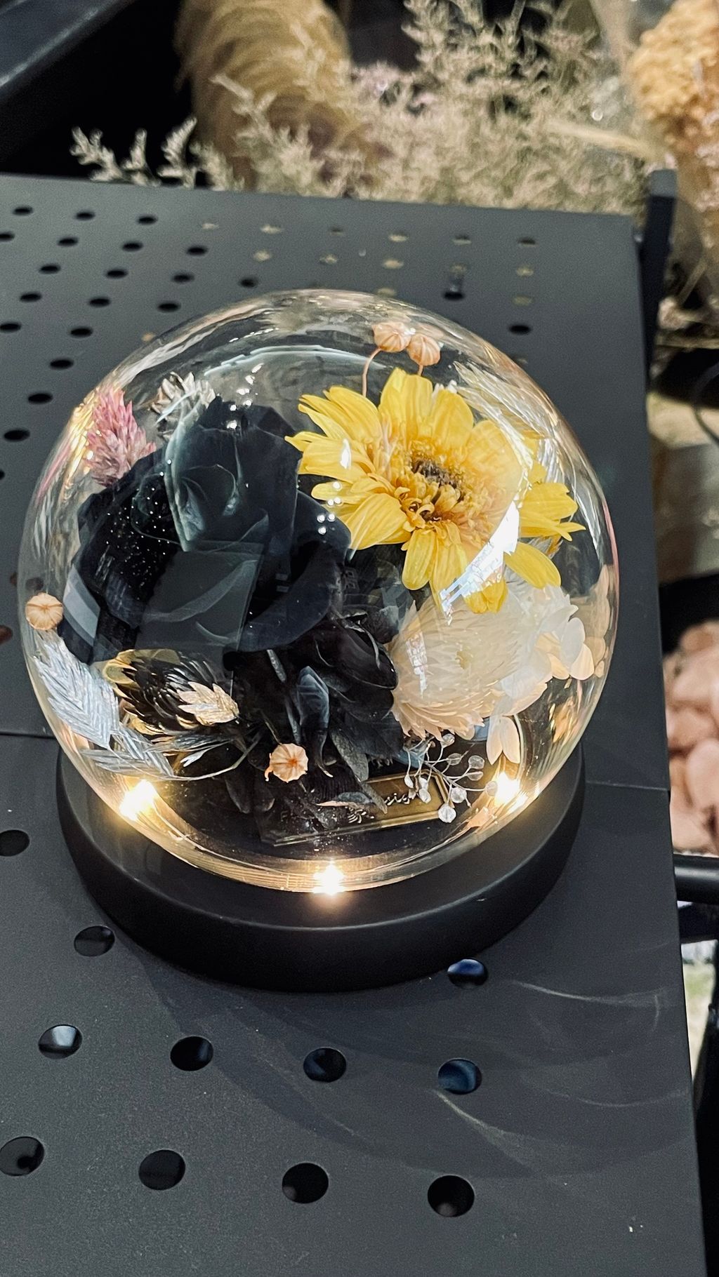 image_87B59D61-F967-4D5A-A9B0-847A35740179_1755087821