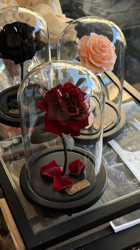 image_DE36598F-0E19-4664-9090-52C76C3C06CD_1756267488