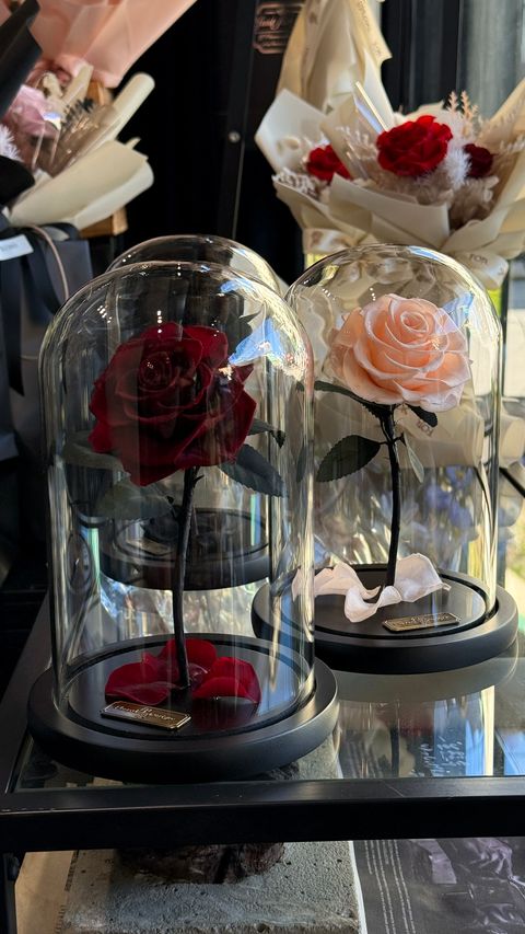 image_A5CD72A9-725F-4FAE-9703-8D66619284F0_1756267488