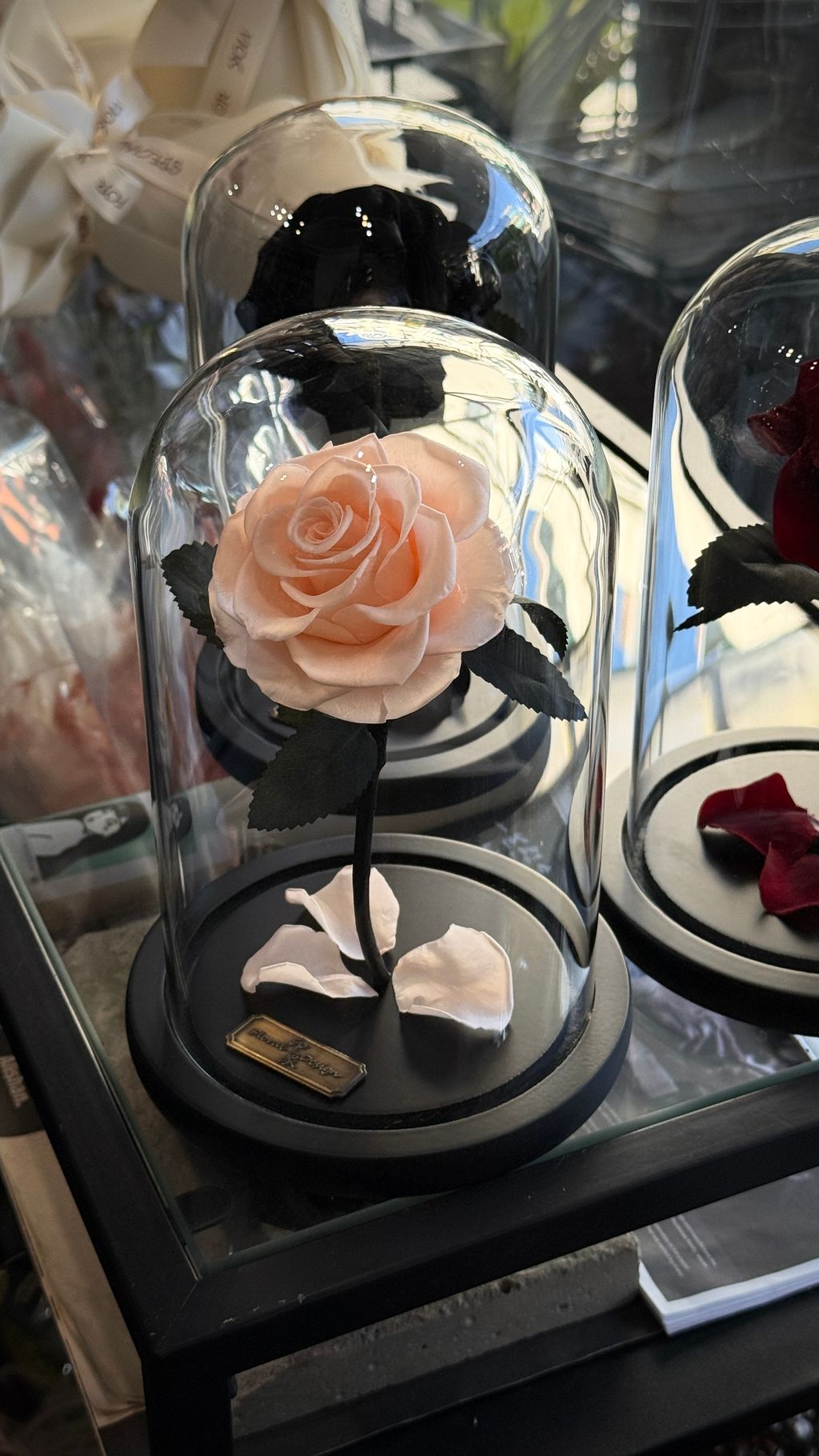 image_20DB8CD8-5D71-4689-A4FA-D0EF8F6C2C49_1756267488