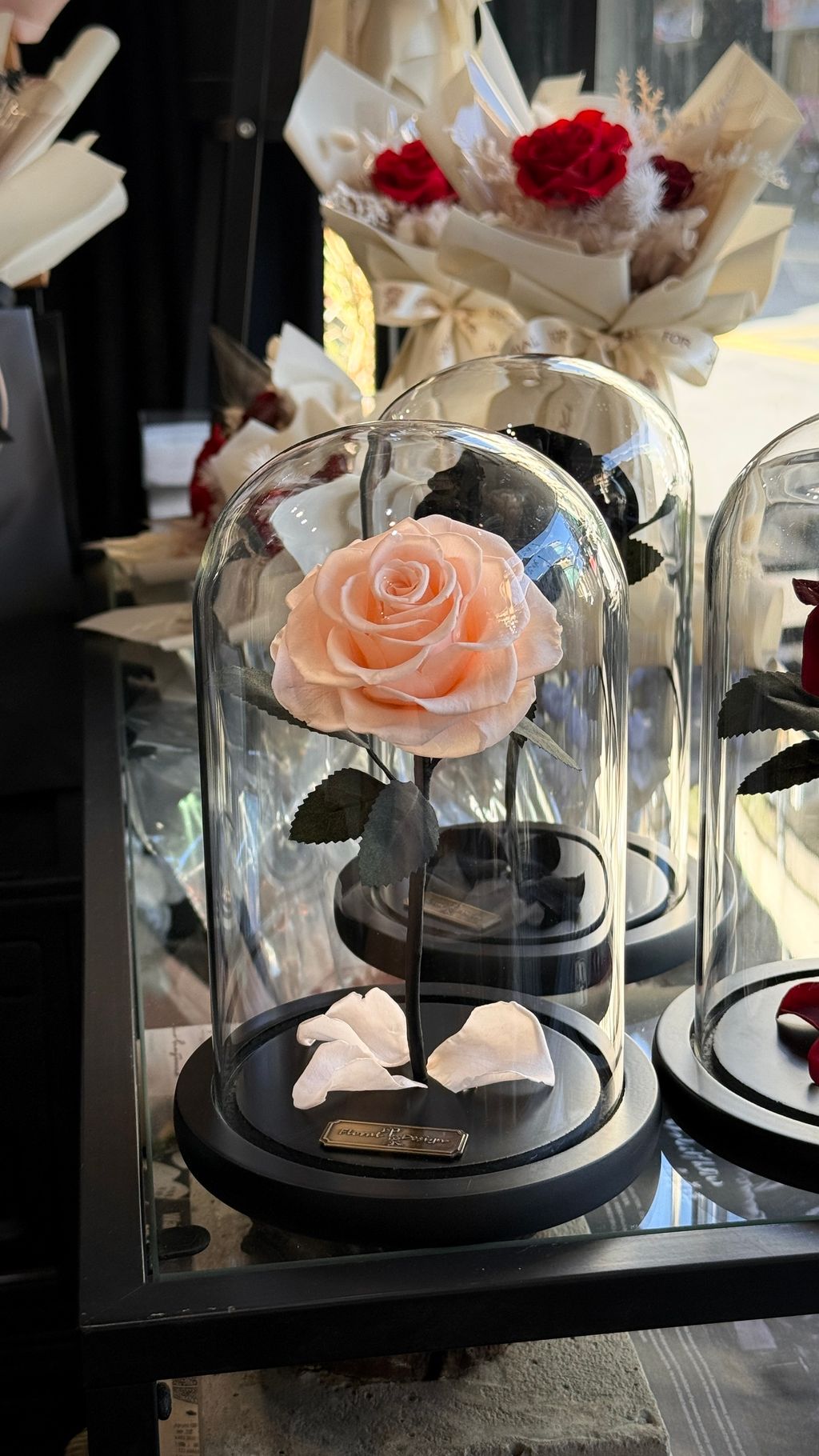 image_9345A407-8EB8-45BC-8B71-9D39417A6AD4_1756267488