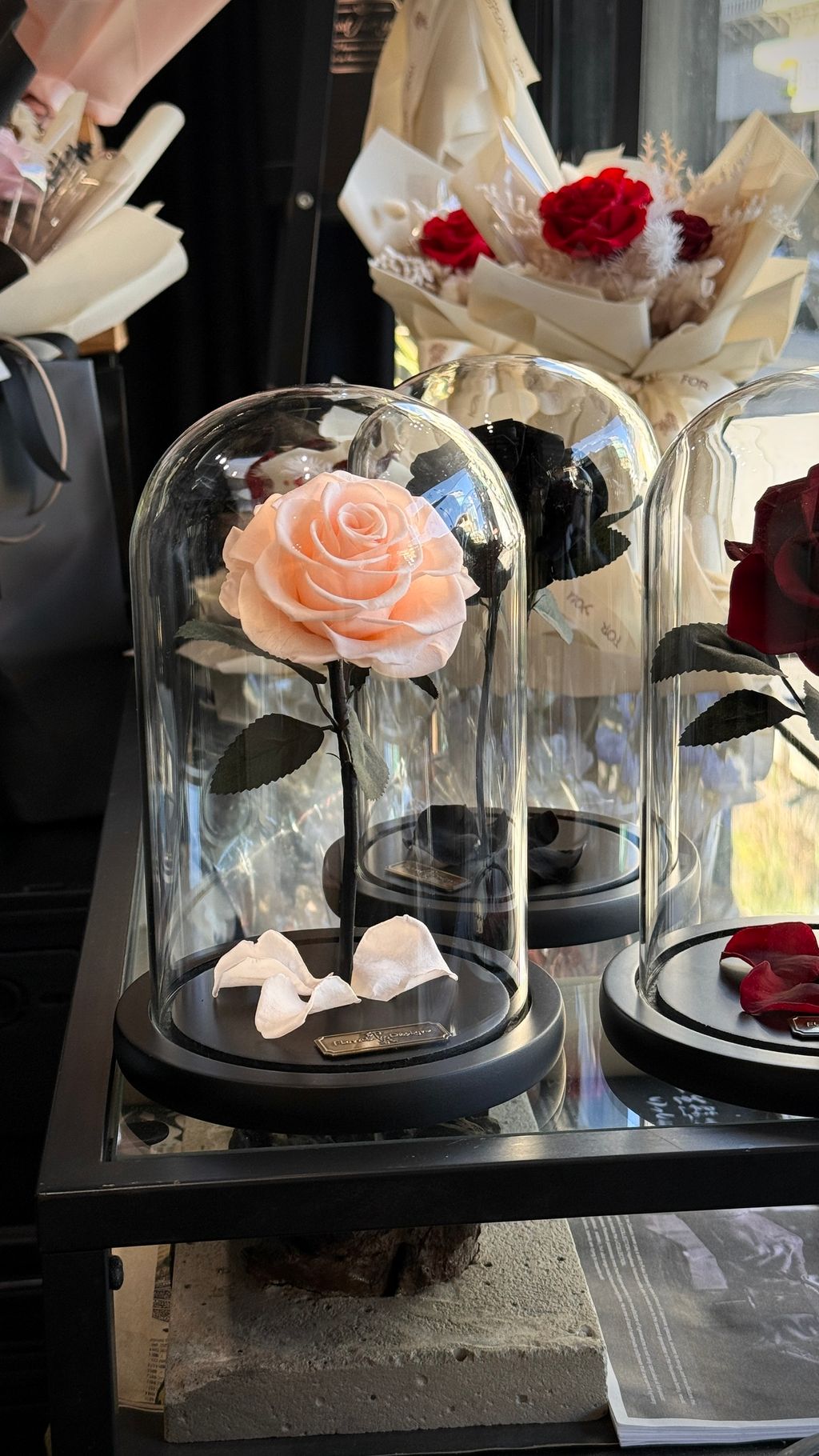 image_C9B7B6AE-110D-404E-A332-6DB1813CD923_1756267488