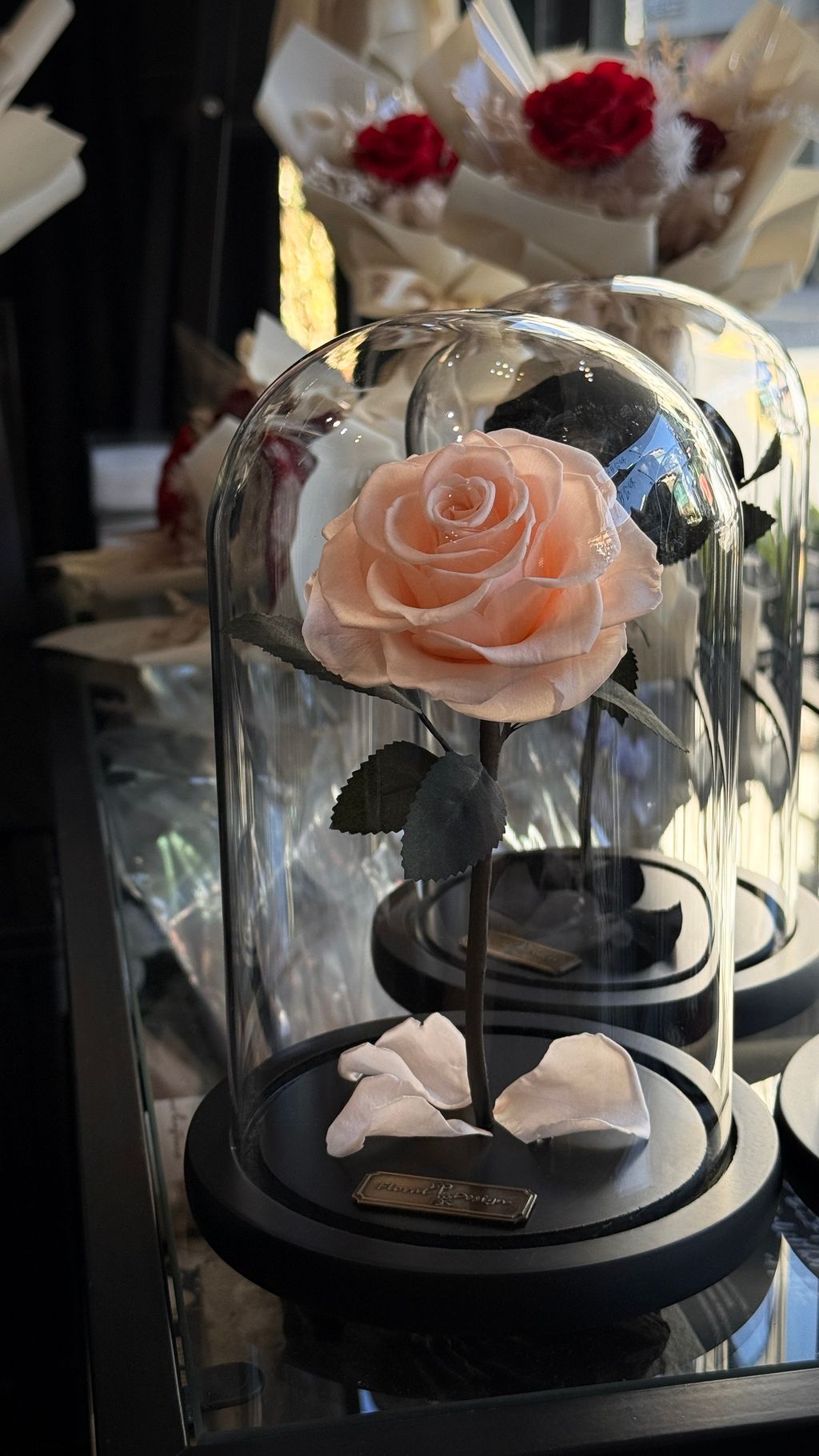 image_EFAEA2D6-25B2-4815-884B-A3A66F27F31F_1756267488