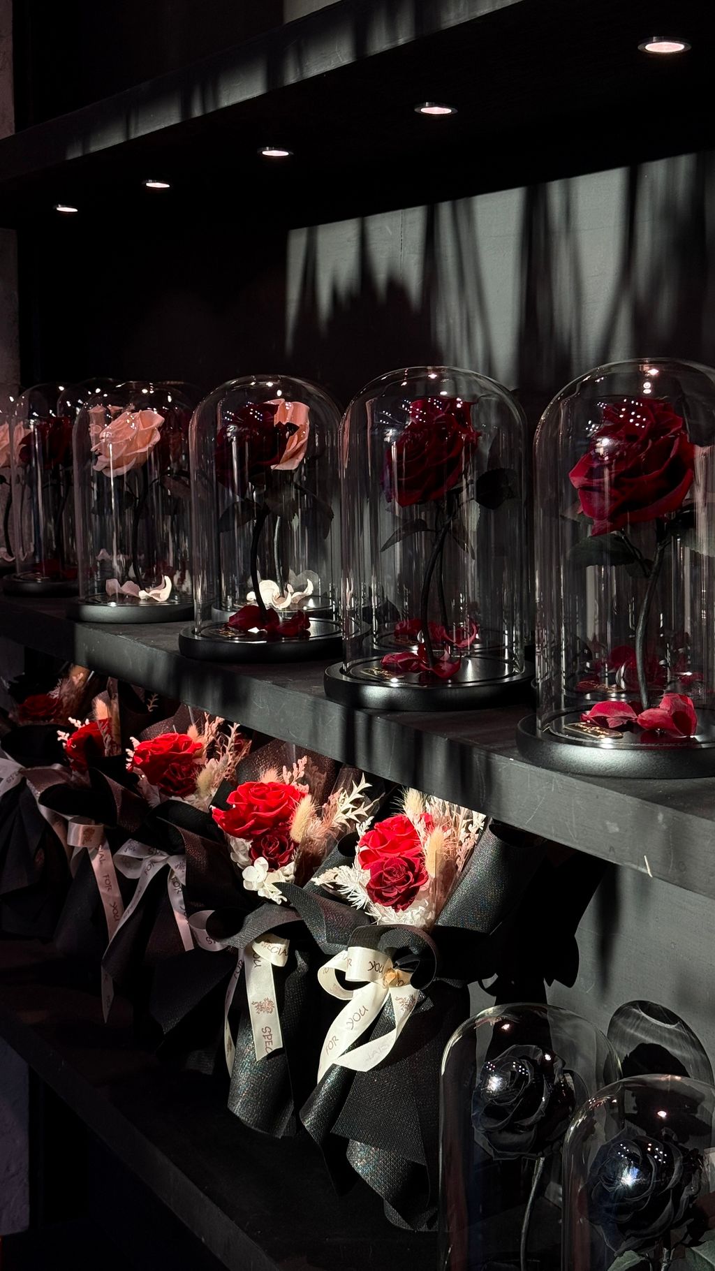 image_D82BC05F-AF5D-4C6A-B289-4FB55E91261A_1756267488