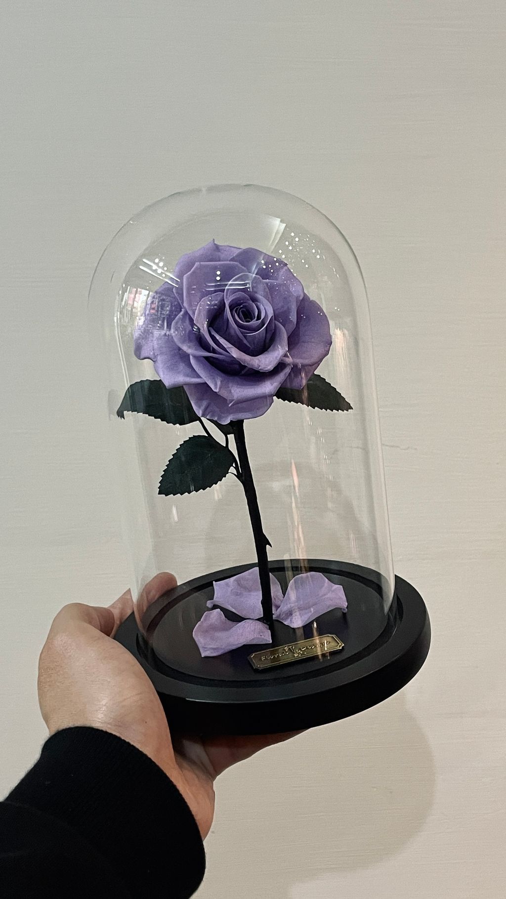 image_D00970A4-F76B-4C2B-917D-16878867F37C_1756268020