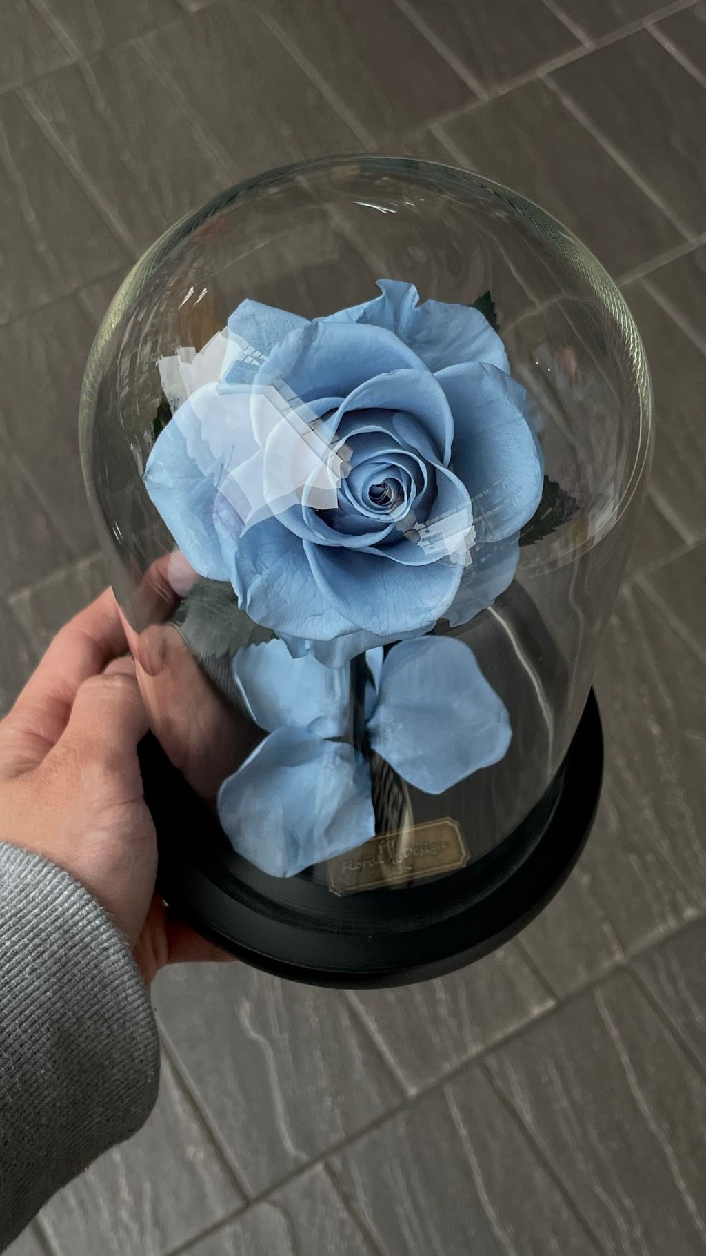 image_4E93994F-F4E0-4E7B-B1DA-8A9C4D152BCA_1756268020