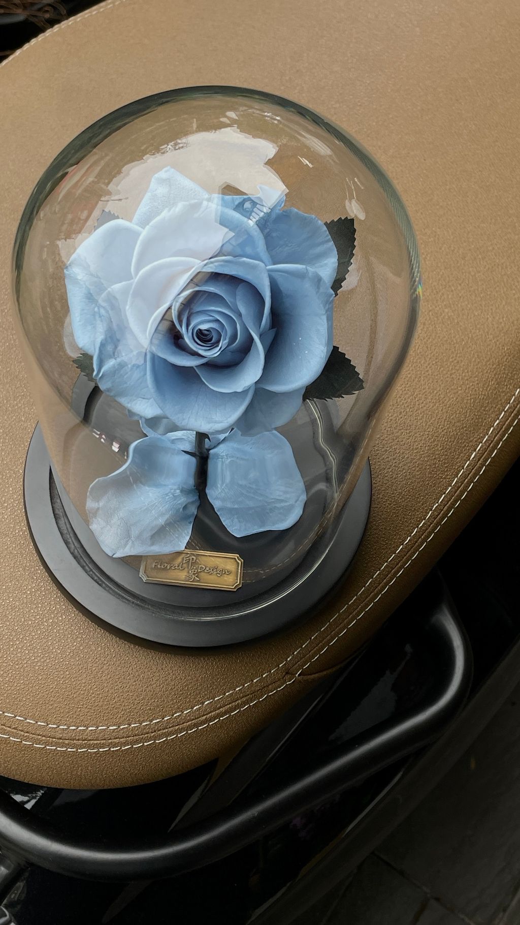 image_273C9861-C9D2-4B01-A2C0-F395928CD716_1756268020