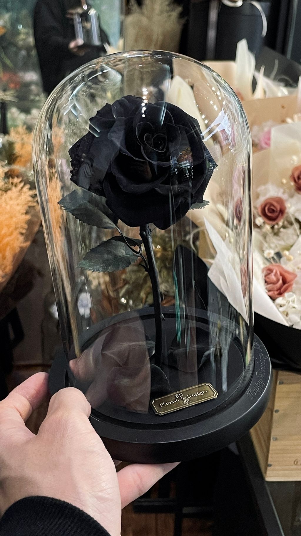 image_6249C10D-114B-455F-85D9-1FDB8E89A2BA_1756268020