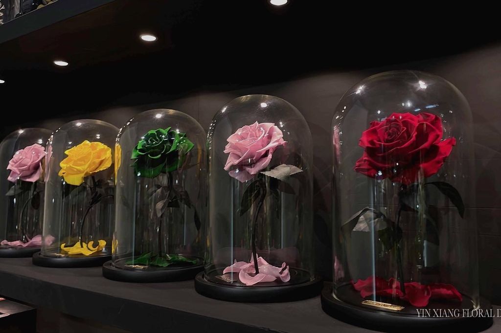 image_9AAC8A51-58FE-4667-BE7D-8D4C6D2AA132_1756269164