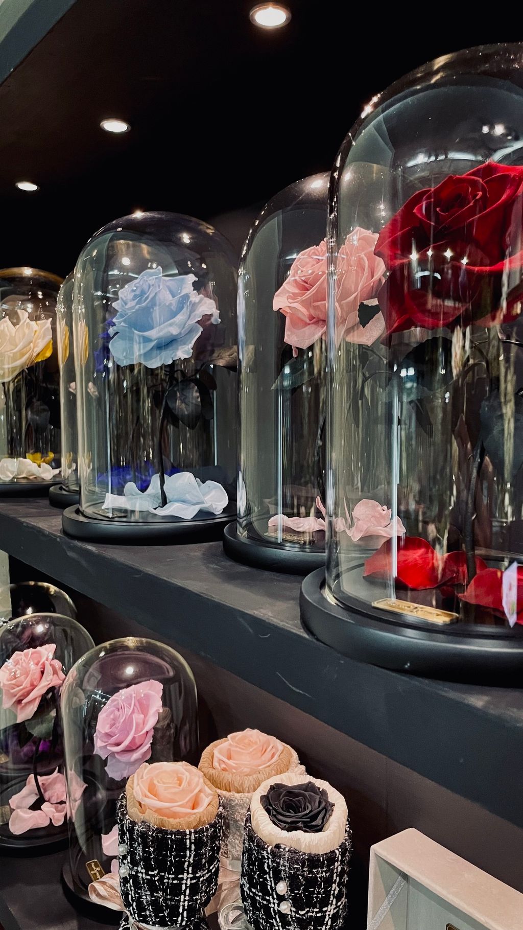 image_E5D5FC50-CCA6-4101-A8F4-79185F7A69CD_1756269164