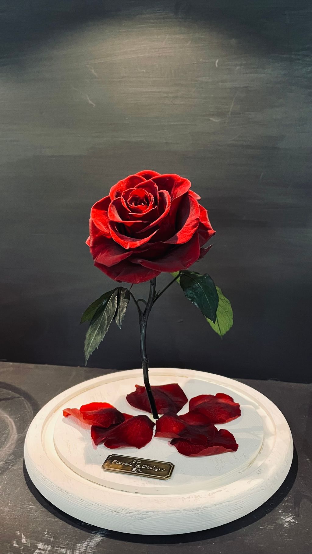 image_4B100C80-A19A-4017-A788-D4FEE72CBEF4_1756269315