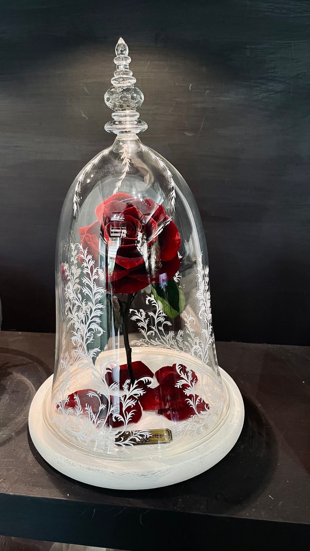 image_A4820853-FA43-41FB-8943-B678B508D884_1756269315