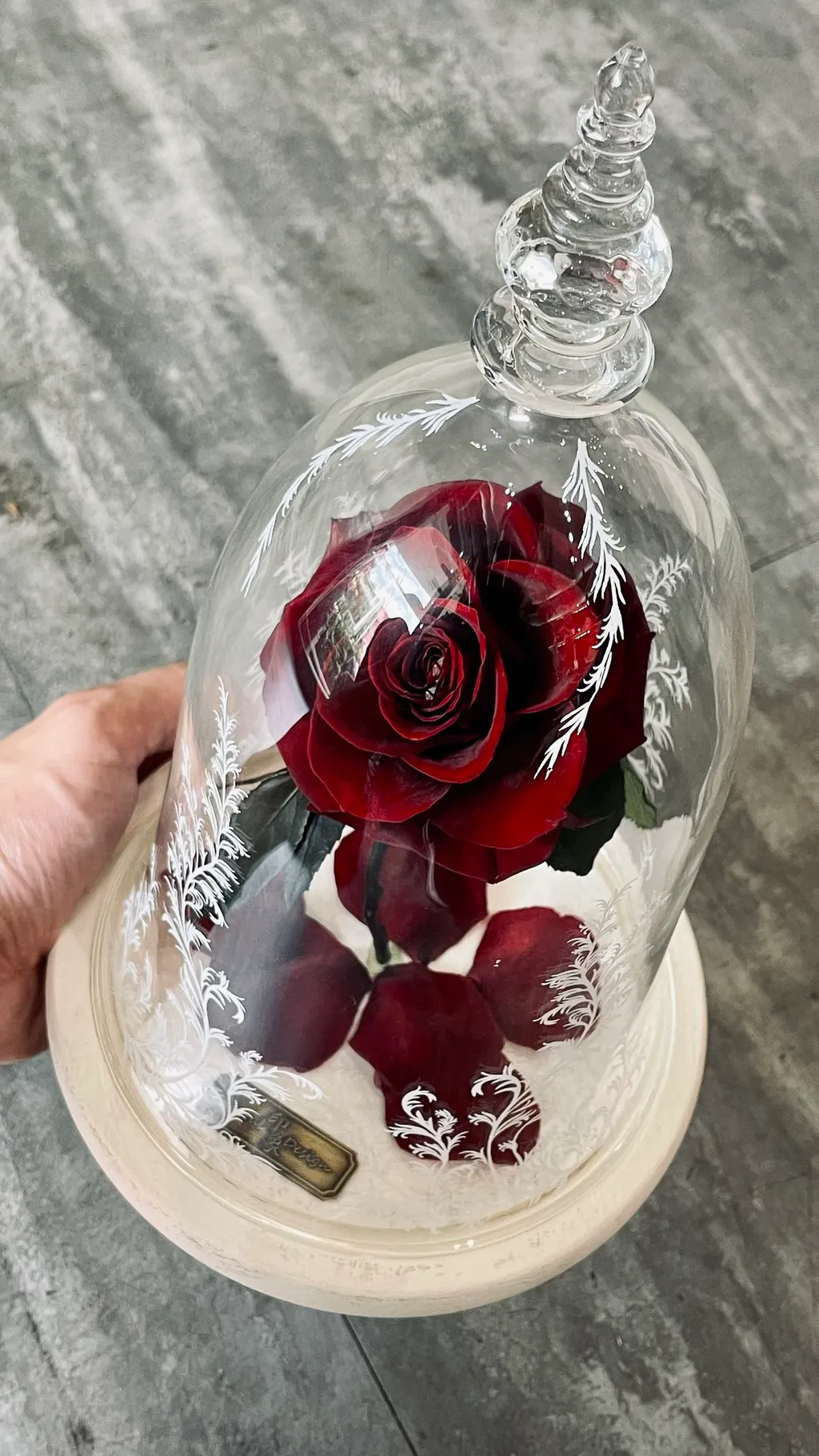 image_2C59E7DF-4633-4AB0-843E-6A91058EB3A7_1756269315