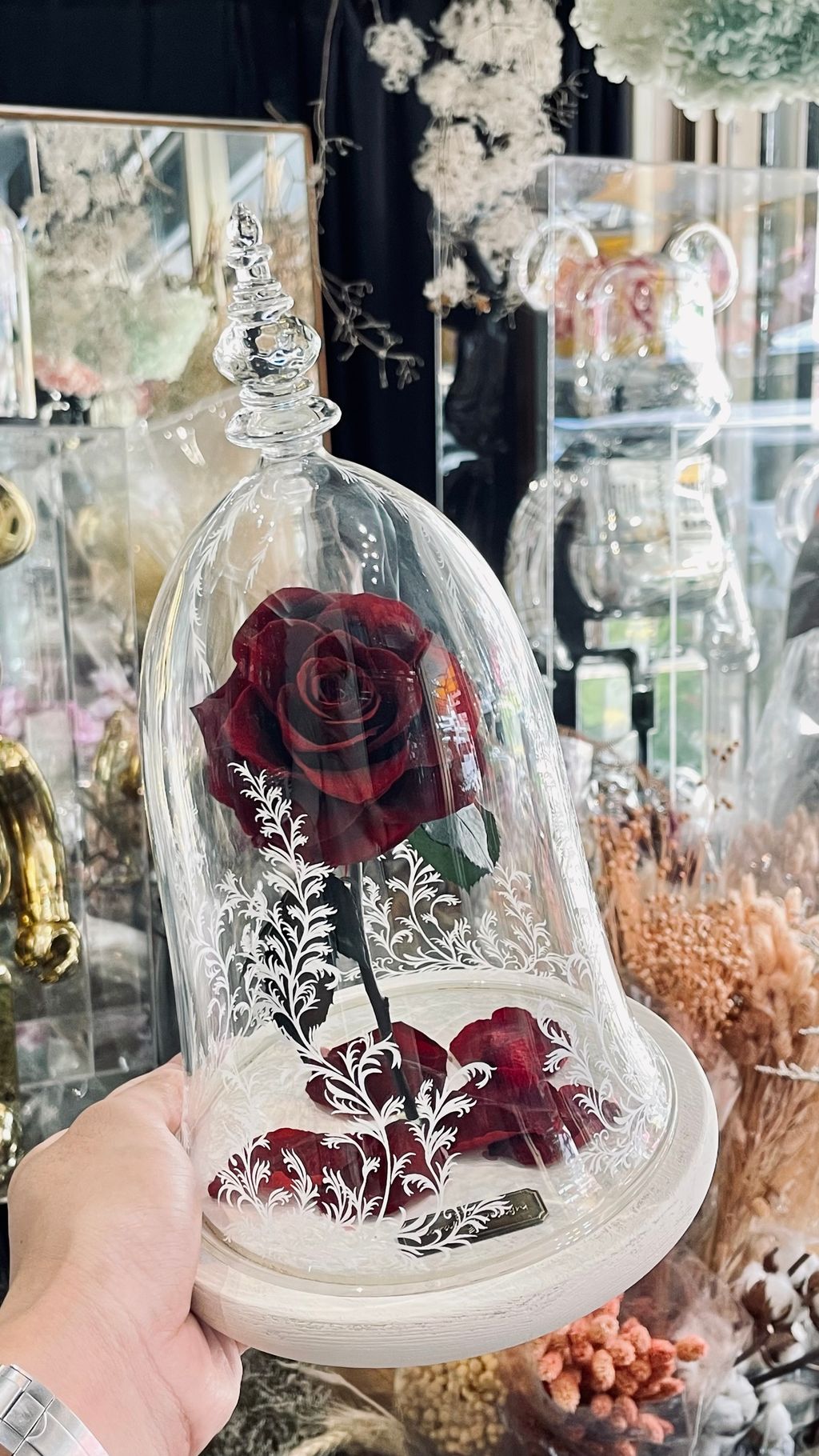 image_A314A4ED-1DCB-4005-8FD3-519B53085133_1756269315