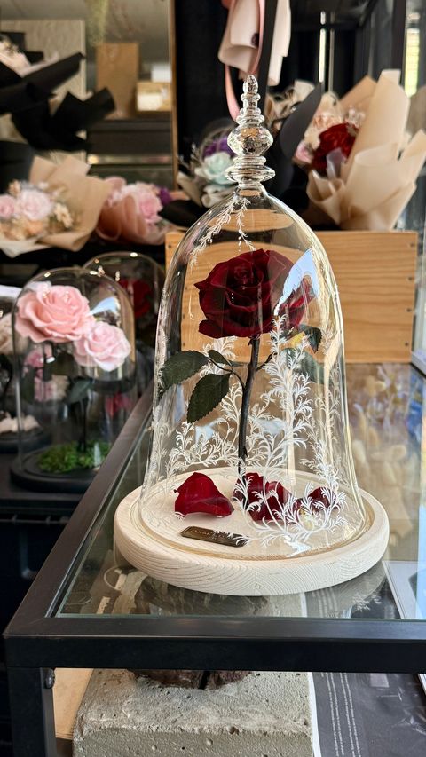 image_5459E728-234D-41BE-8B29-BF10B9BEC1BE_1756269605