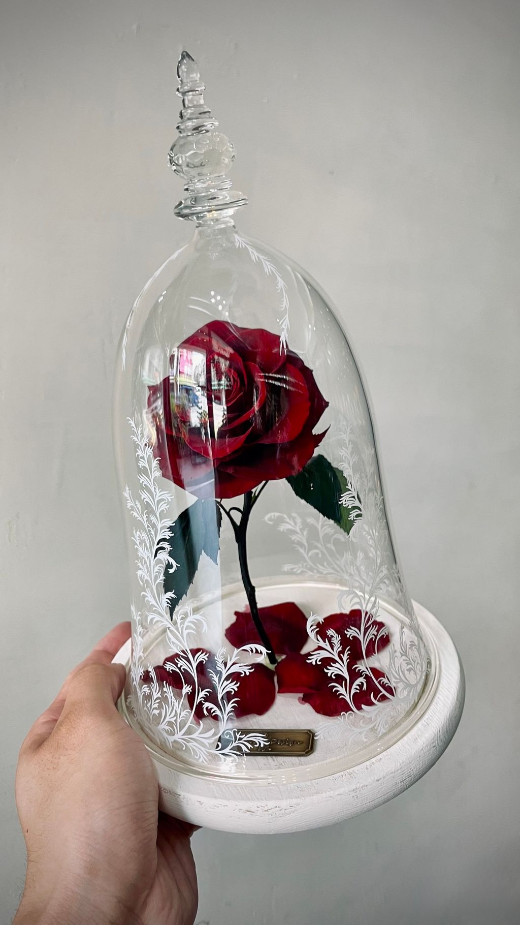 image_64B6F091-A705-48E0-ABE9-FABDC31EFD40_1756269605