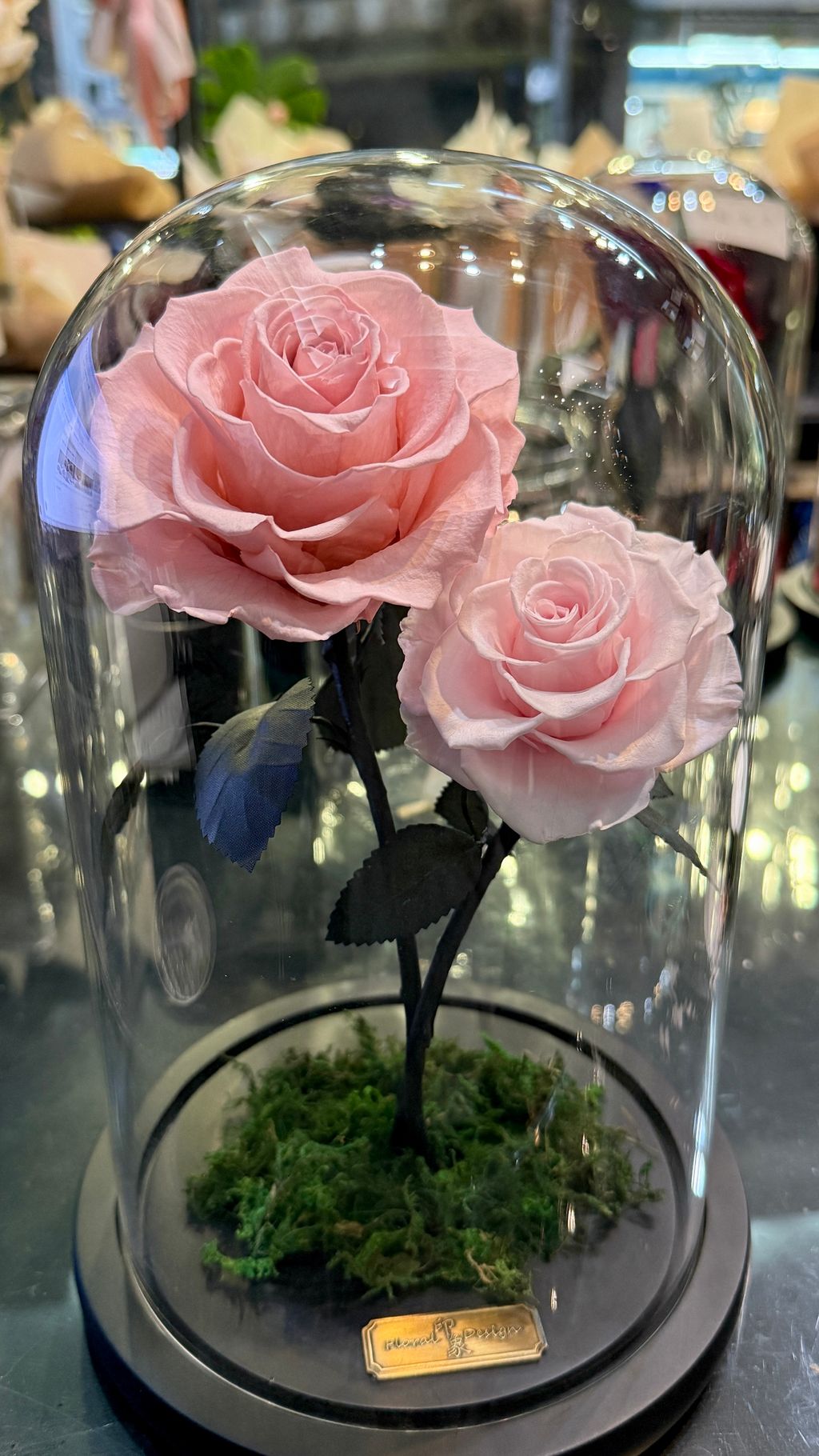 image_C51C6E5D-2298-4841-A2AE-EBB7D48B4F37_1756269958