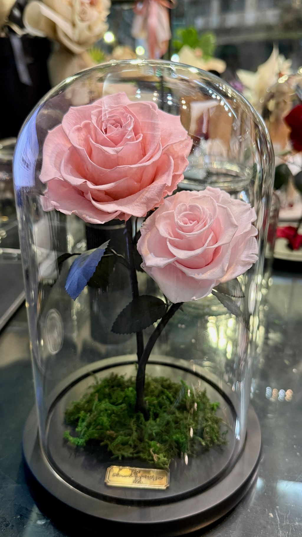 image_FF2FB268-15C5-43E2-8E43-5809398CD2EF_1756269958