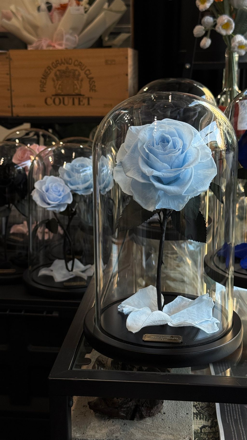 image_A50570F8-D42D-48FF-8901-7387E6ED87F5_1768032749