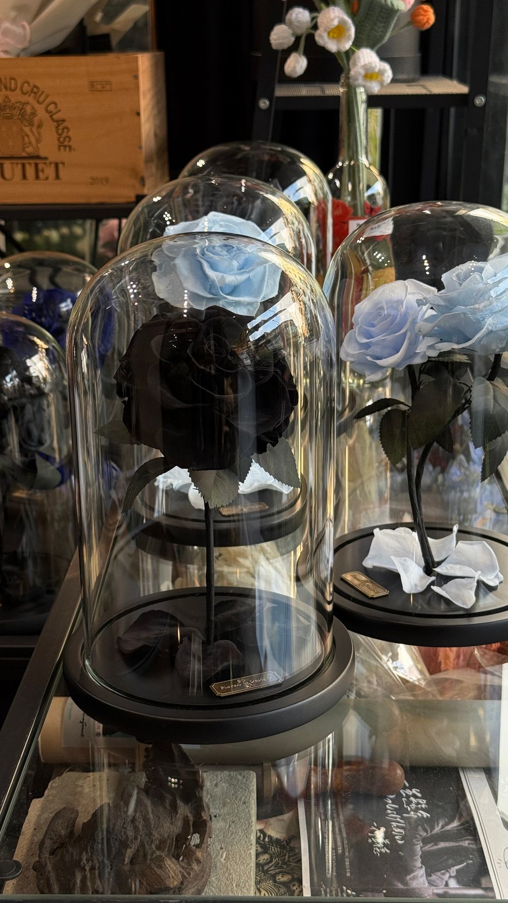 image_EBECA0F1-D62C-4B85-BE00-7C898F8839CA_1768032749