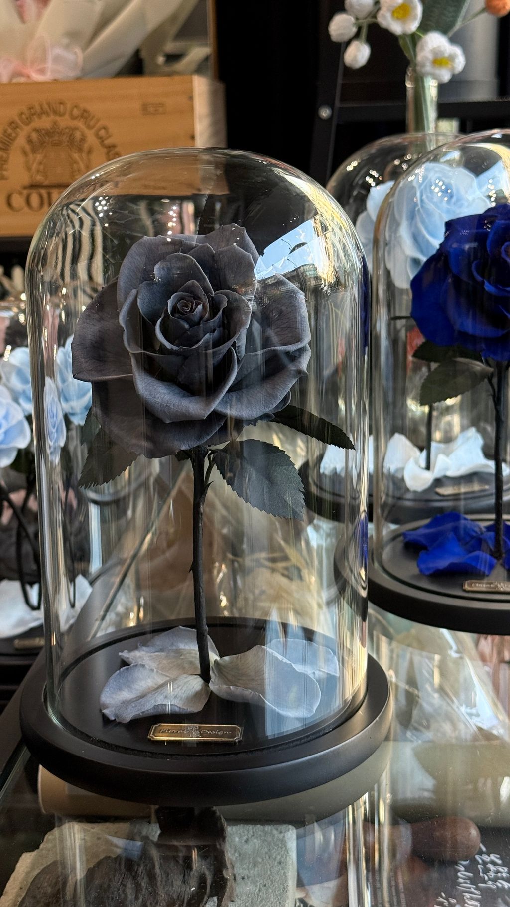 image_2764DBA3-0AB5-4C16-9638-8F1A3F6CC61B_1768032749