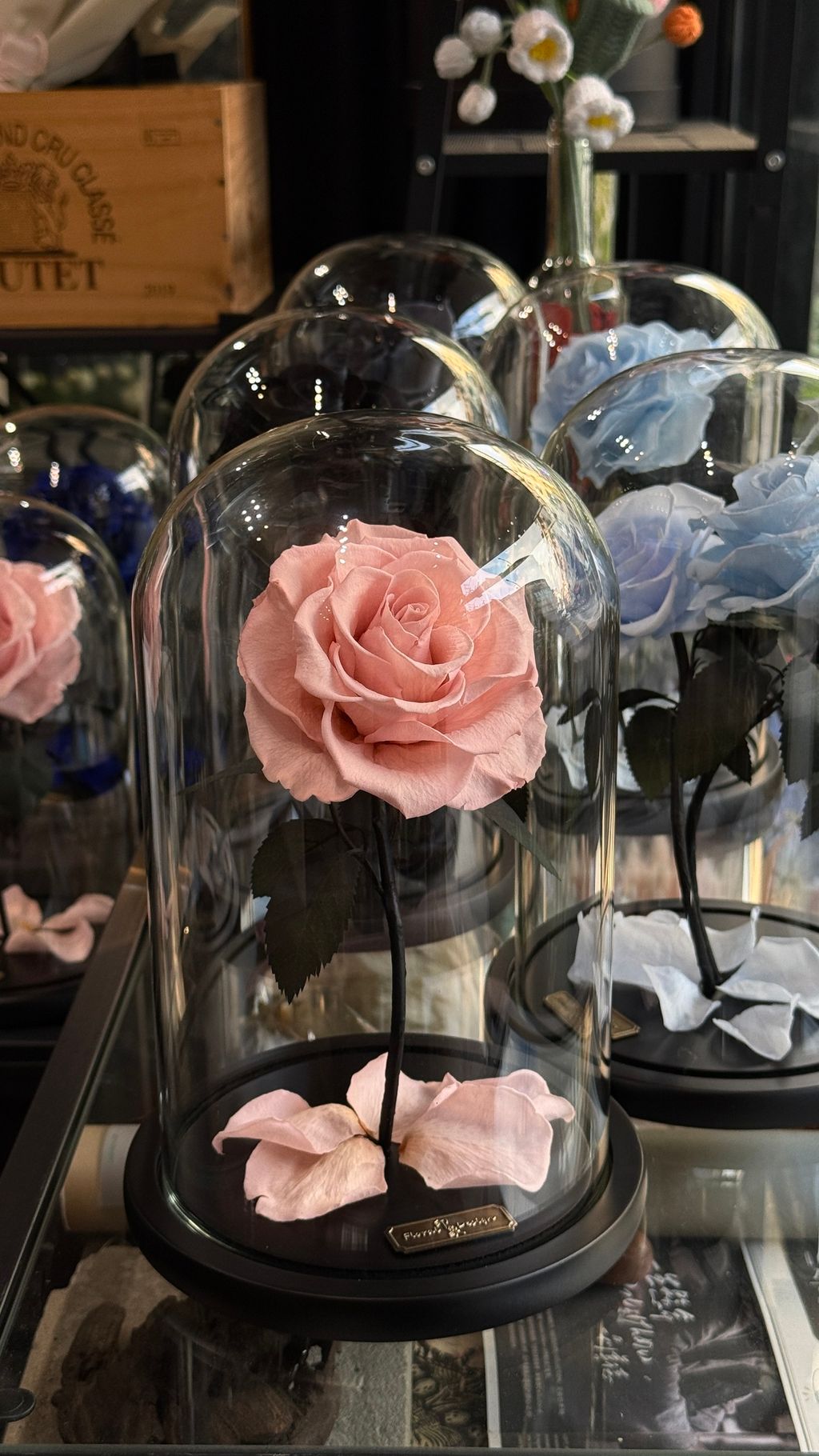 image_0CF5BA3B-B2B7-4F43-96B4-15E096C866E0_1768032749