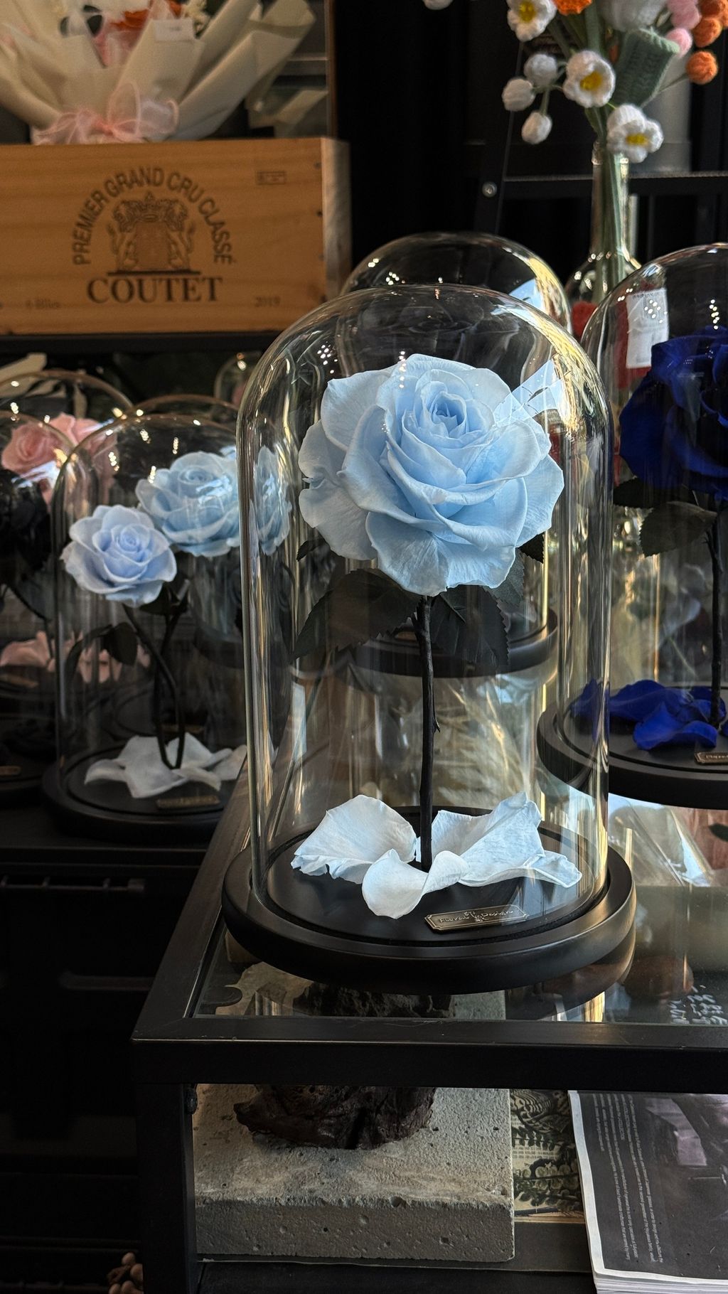 image_01A169F2-908B-45B2-8B5F-10F07EB49CB0_1768032749