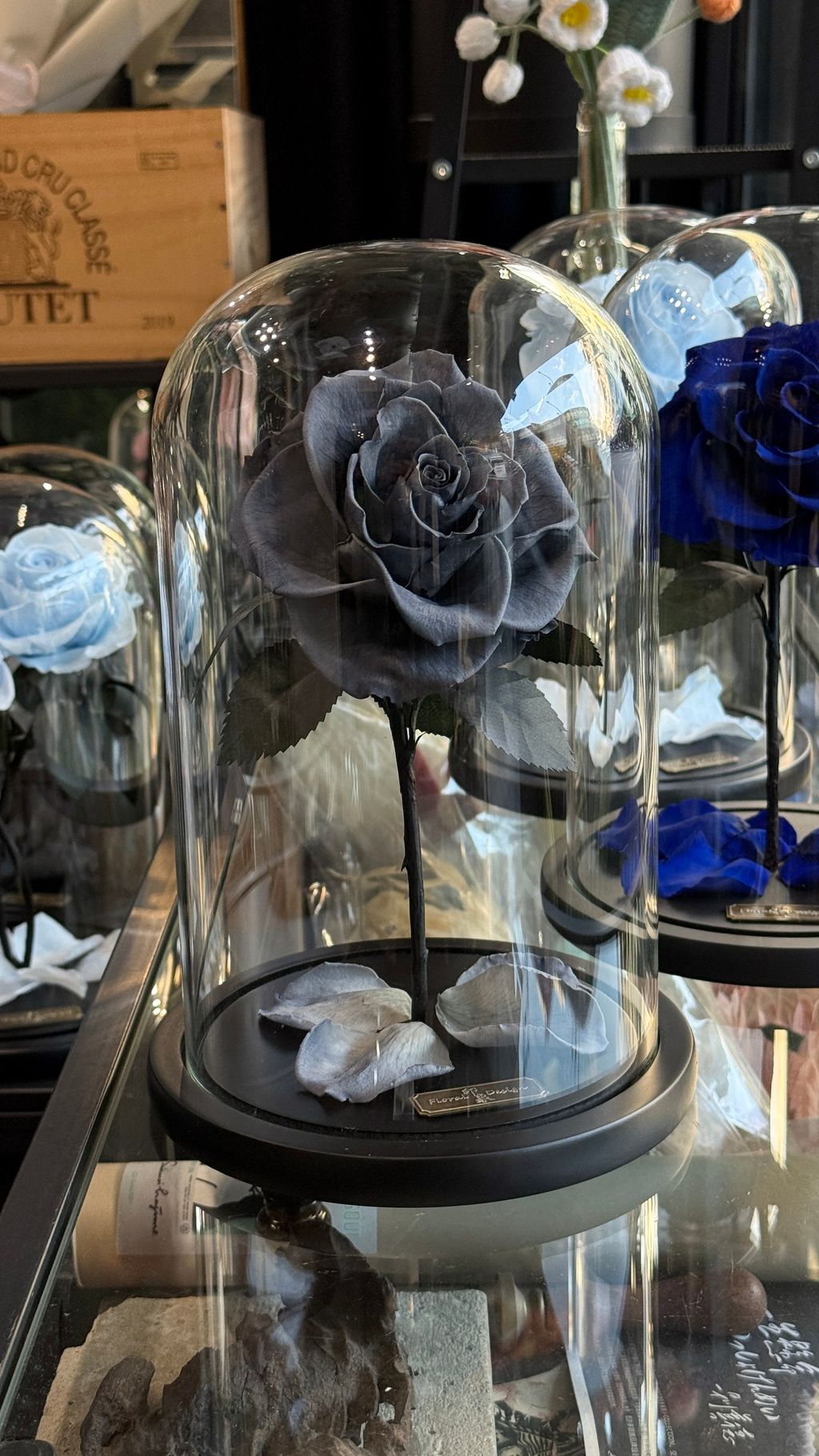 image_12E68AF4-7E52-45DE-812F-1EE47A01205C_1768032749