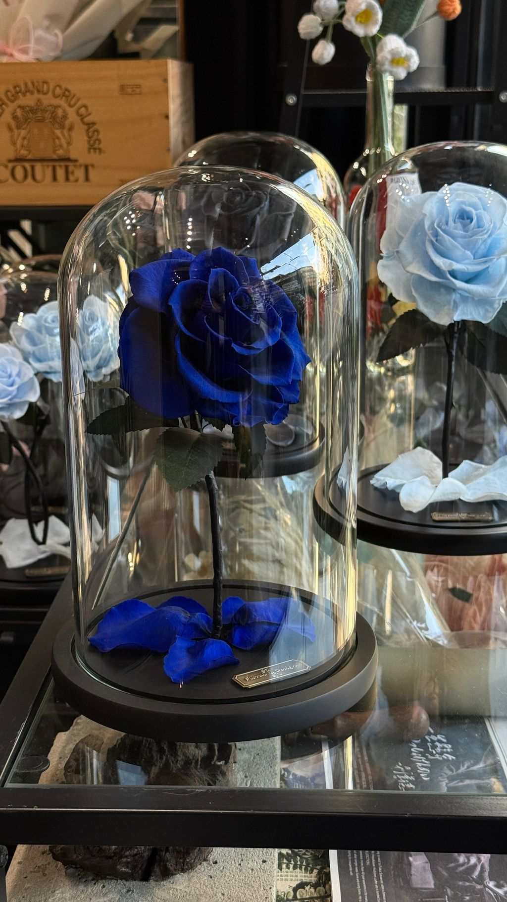 image_A6008905-8D4A-4CCF-A219-ED743A1D4E13_1768032749