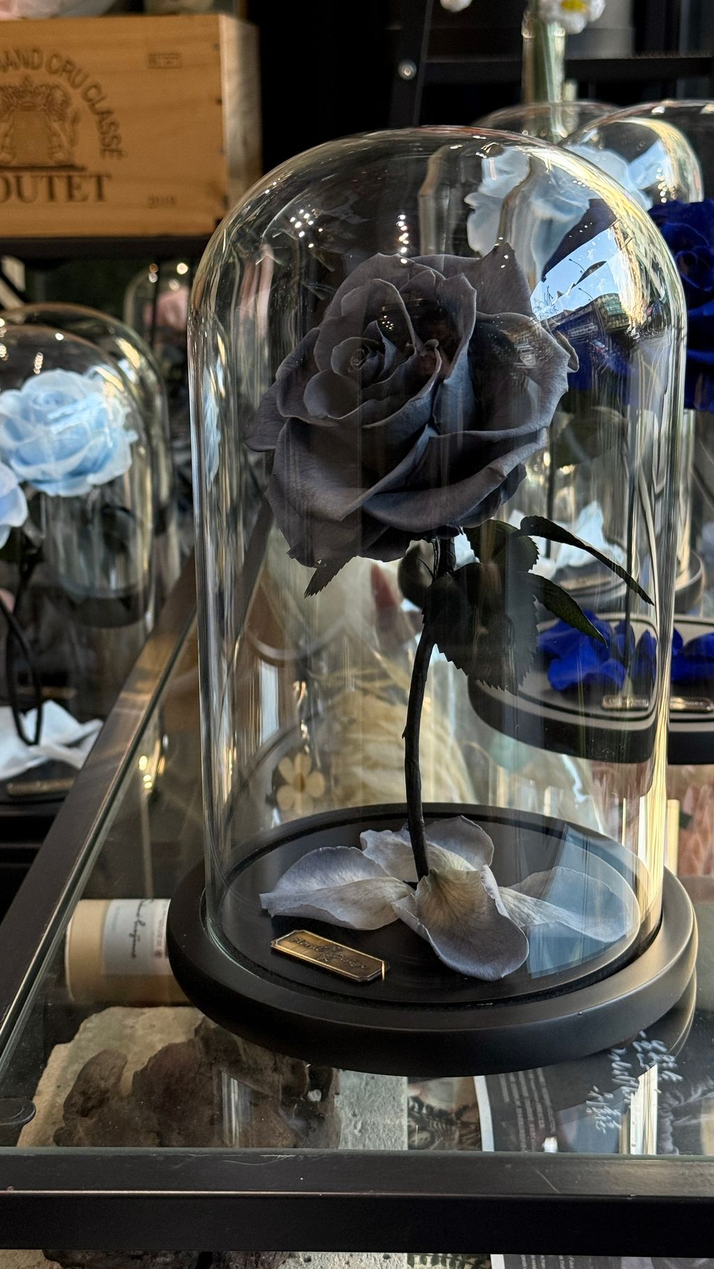 image_23394CFE-D6DB-482A-BB28-951E91349142_1768032749