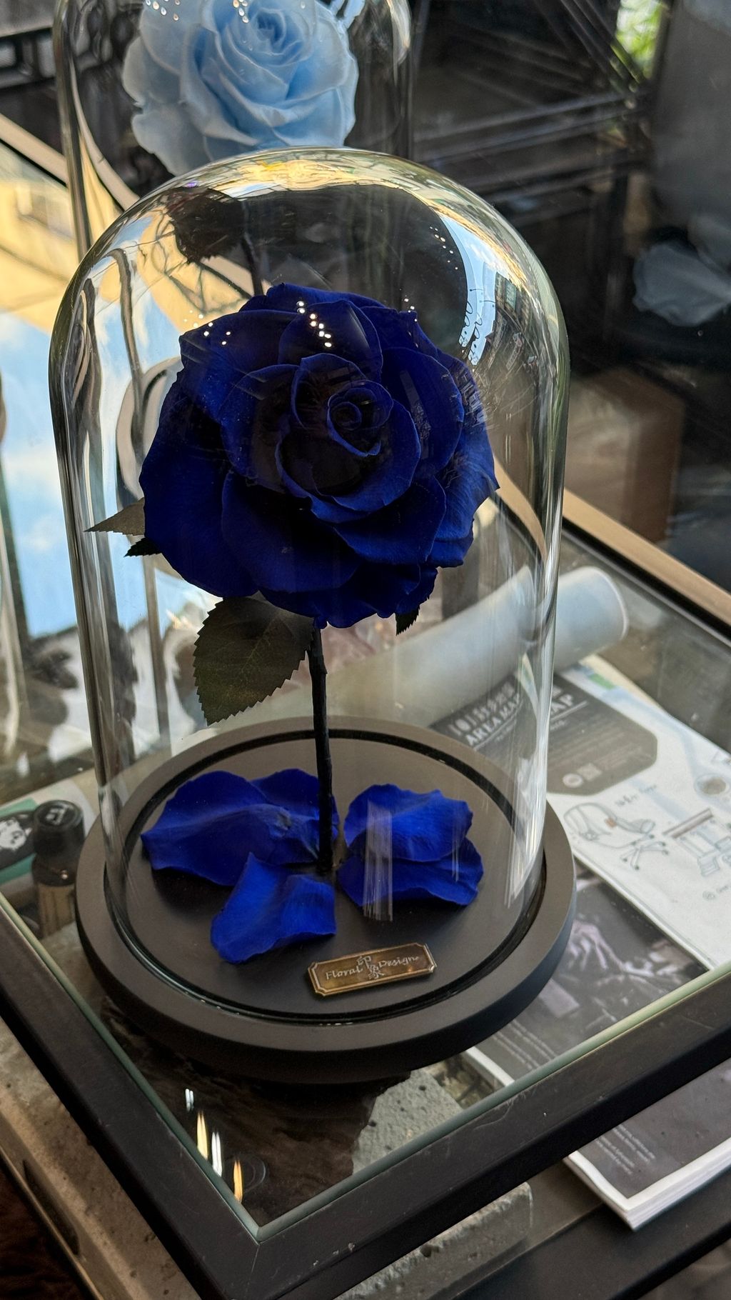 image_C13CB105-30EE-4861-BD33-EB4C5B3A00E4_1768032749