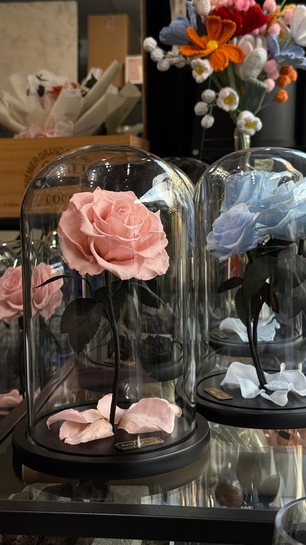 image_F2BD39CB-45B1-4B34-B90A-A7D635D41DC4_1768032749