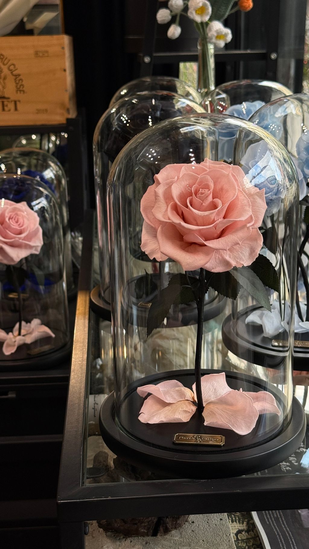 image_29A177F0-BFDE-4333-8F2F-25FDF582A678_1768032749