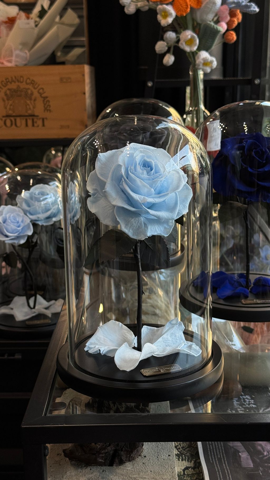 image_1B15C43E-1FE6-4329-8C8C-0F6CA4DF2F24_1768032749