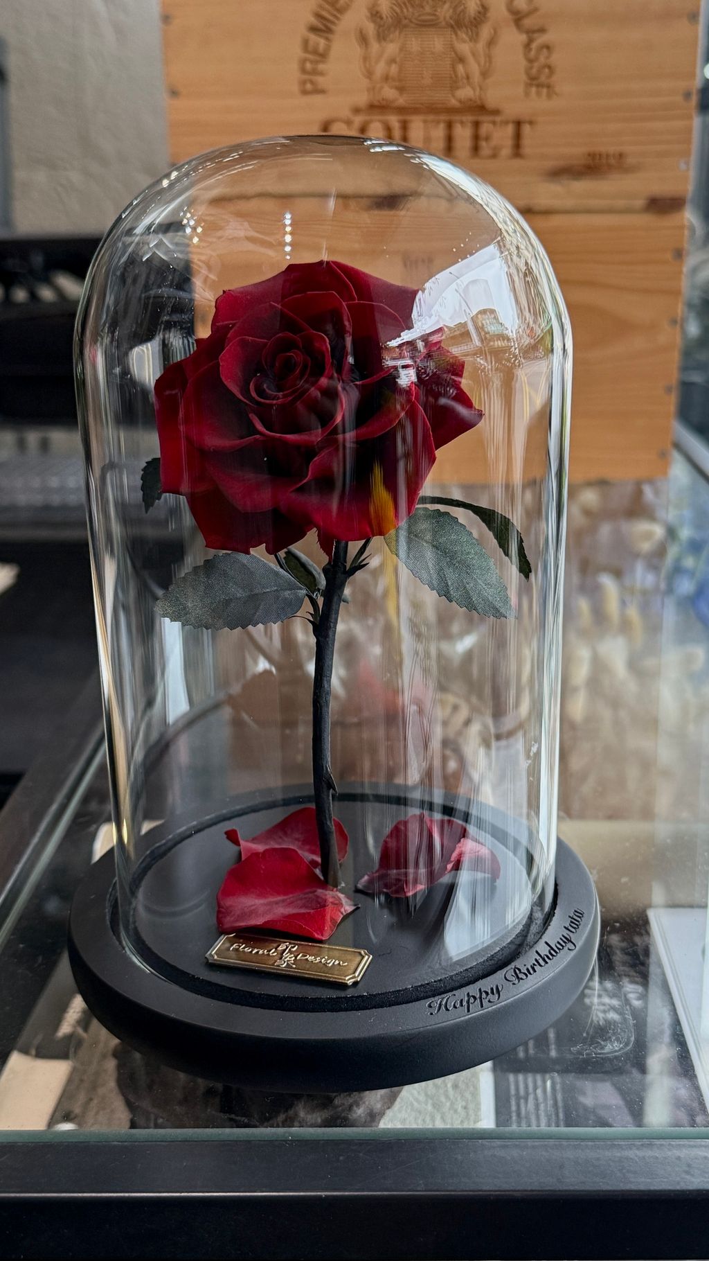 image_749A9E6C-C524-4072-AF9D-3839B6A8FBDC_1768033576